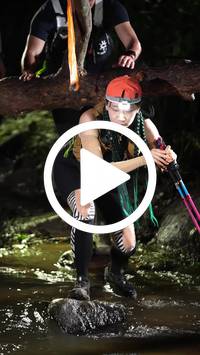 BIB:  <button type="button" onclick="openModal(27606755)" class="btn btn-primary btn-sm float-right" data-toggle="modal" data-target=".modal-high-quality">
                <i class="fa fa-download"></i> Download
                </button>